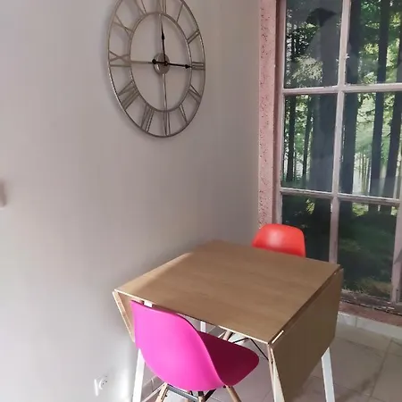 Reve De Panda Avec Sauna Et Jacuzzi Privatif Apartment